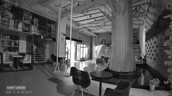 Dinsafer Indoor Camera - Image 18