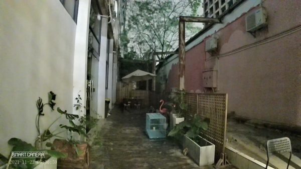Dinsafer Indoor Camera - Image 16