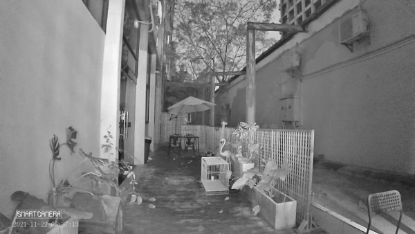 Dinsafer Indoor Camera - Image 15