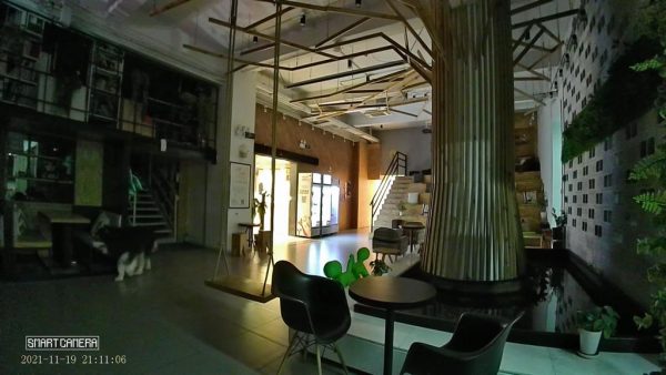 Dinsafer Indoor Camera - Image 13